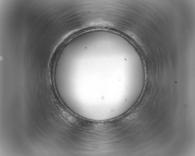 X0000074301022200609222329