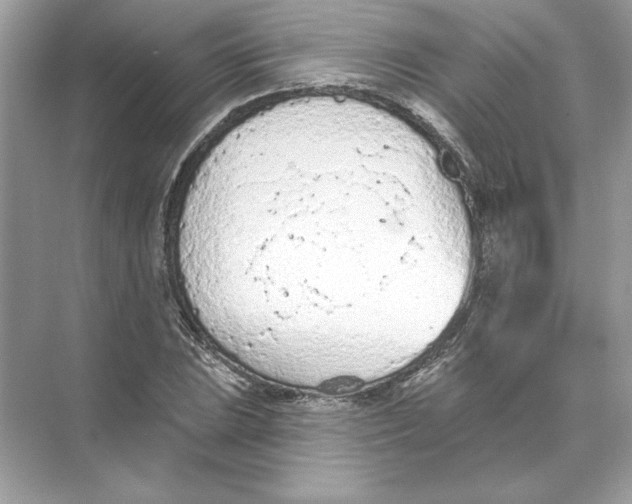 X0000074301023200609222329