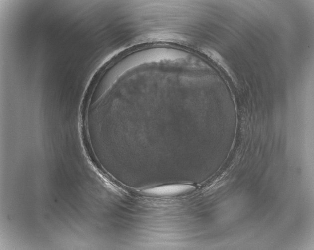 X0000074301024200609222329