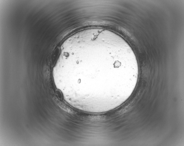 X0000074301025200609222329