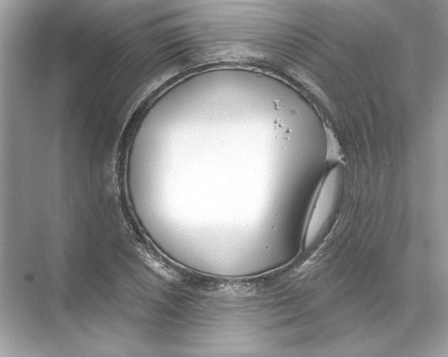 X0000074301026200609222329