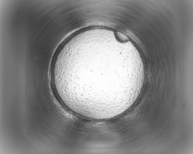 X0000074301028200609222329