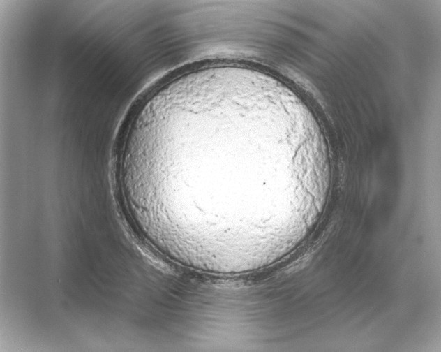 X0000074301029200609222329