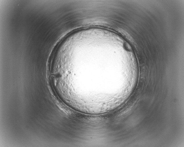 X0000074301031200609222329