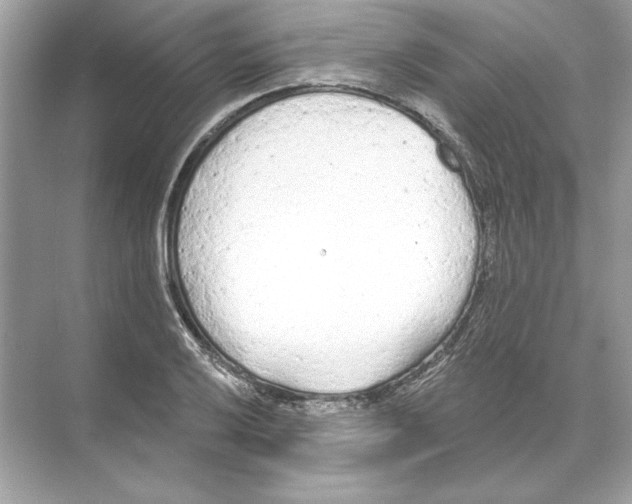 X0000074301032200609222329