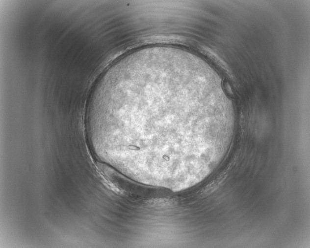 X0000074301033200609222329