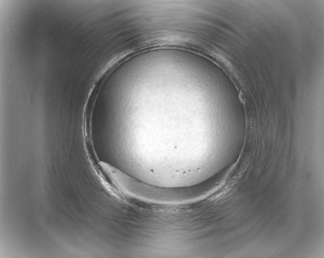 X0000074301034200609222329