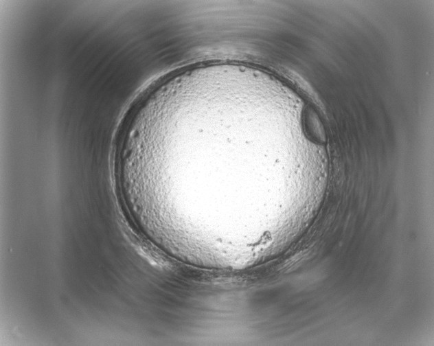 X0000074301035200609222329