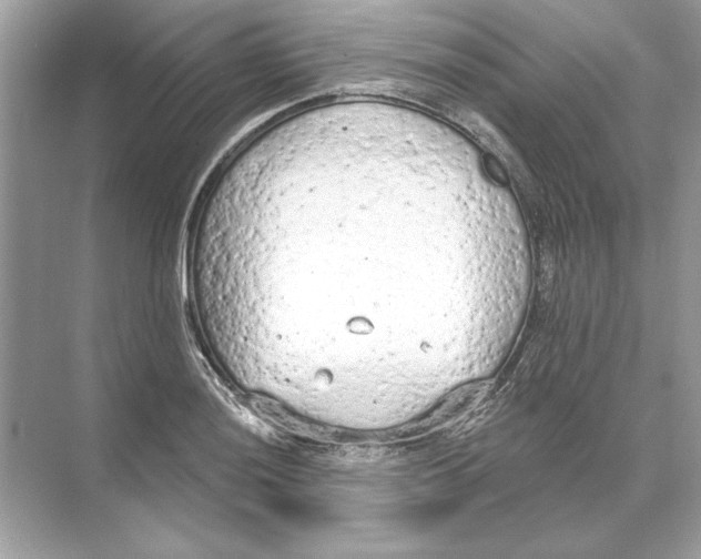 X0000074301036200609222329