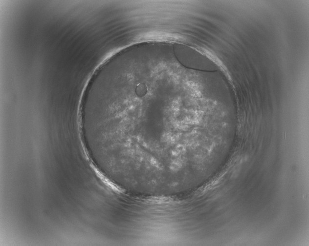 X0000074301037200609222329