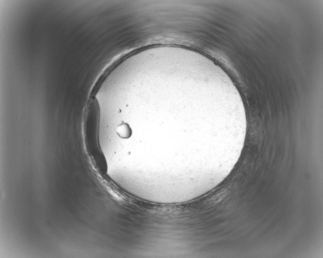 X0000074301040200609222330