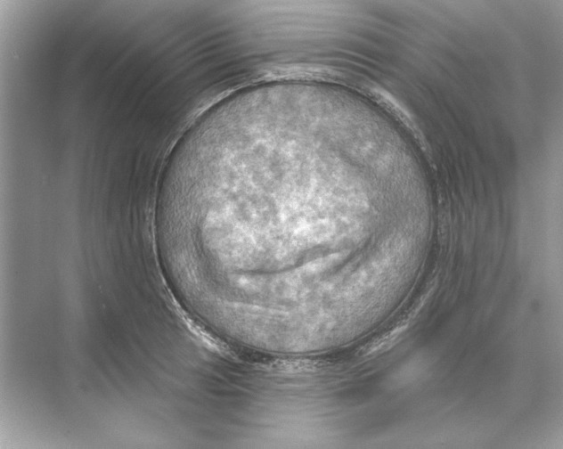 X0000074301041200609222330