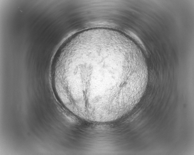 X0000074301043200609222330