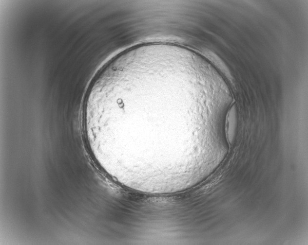 X0000074301044200609222330