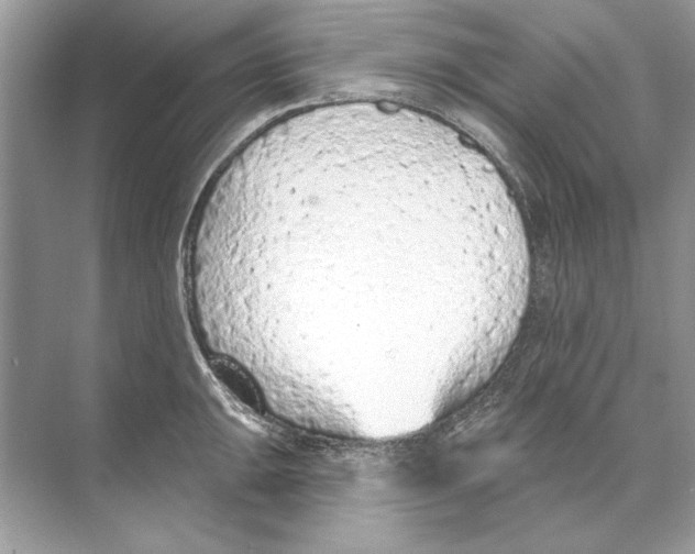 X0000074301047200609222330