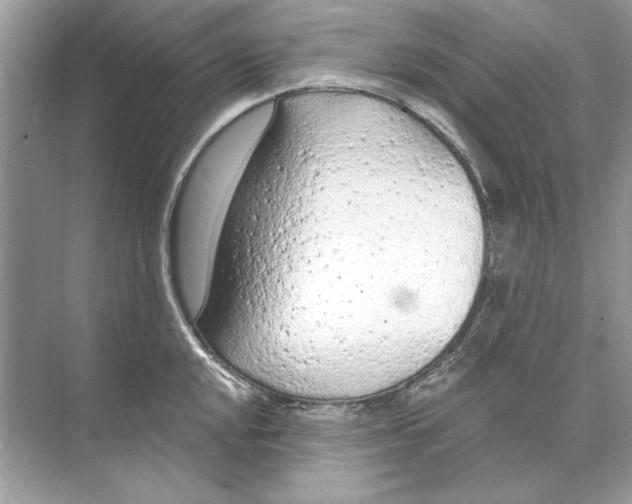 X0000074301048200609222330