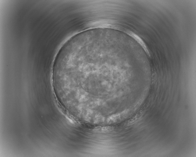 X0000074301051200609222330