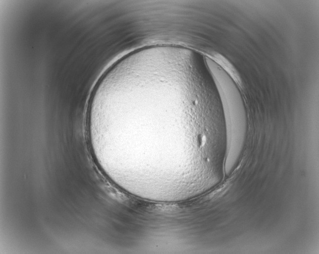 X0000074301052200609222330