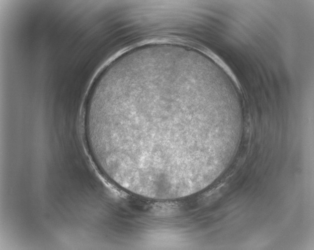 X0000074301053200609222330