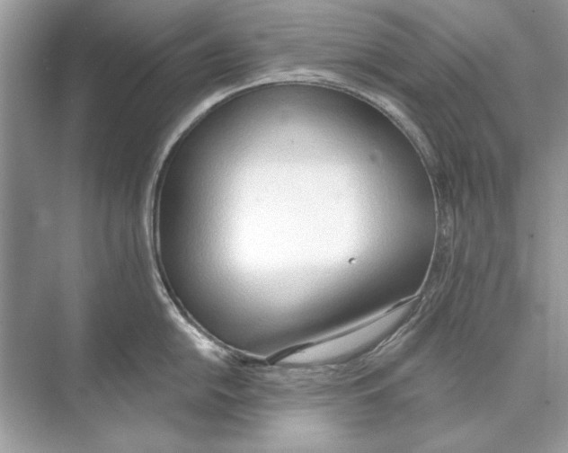 X0000074301054200609222330