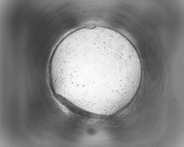 X0000074301056200609222330