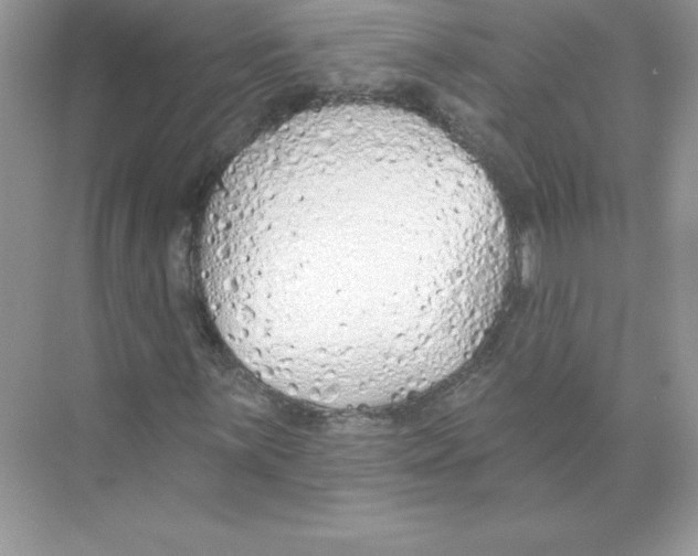 X0000074301059200609222329