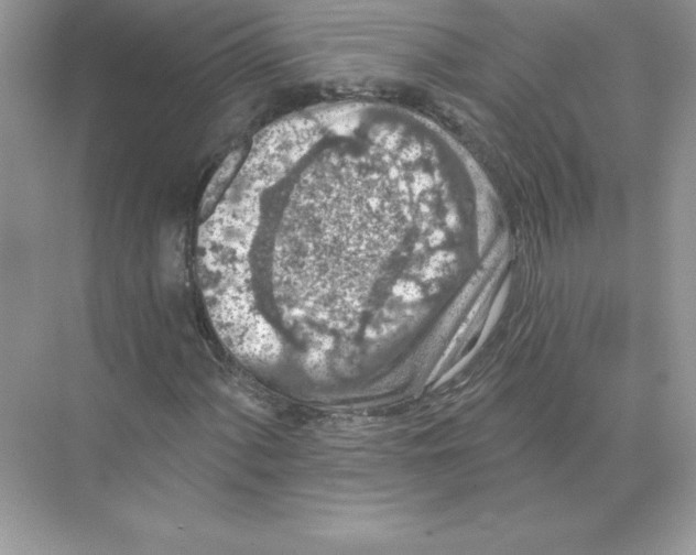 X0000074301060200609222329