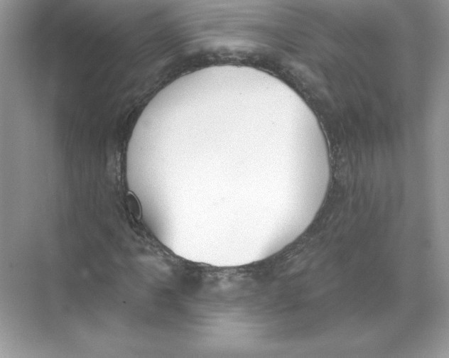 X0000074301061200609222329