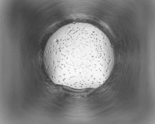 X0000074301063200609222329