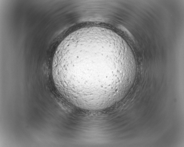 X0000074301064200609222329