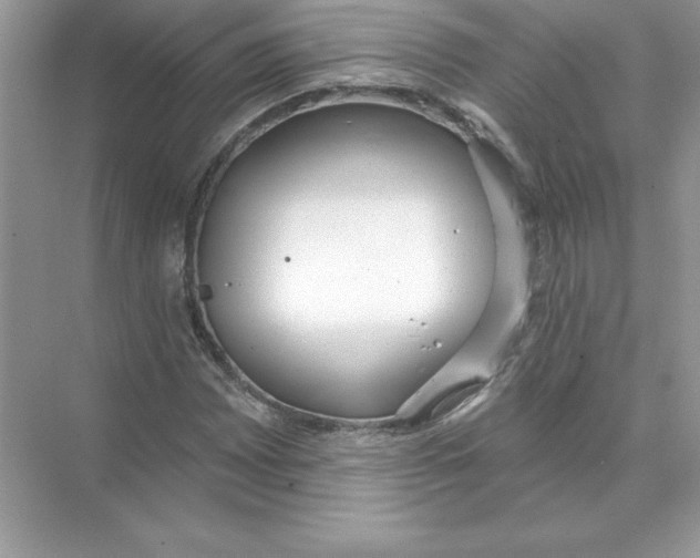 X0000074301065200609222329