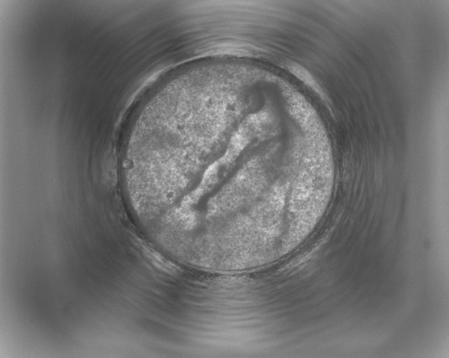 X0000074301067200609222329