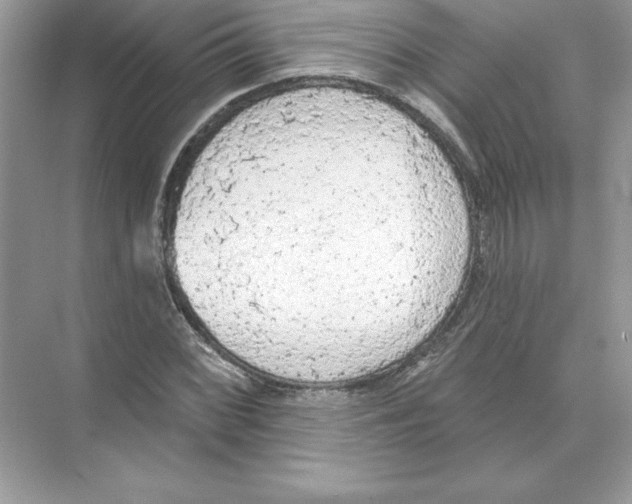 X0000074301068200609222329