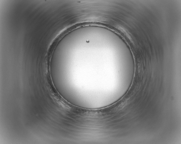 X0000074301069200609222329