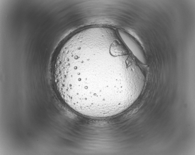 X0000074301071200609222329