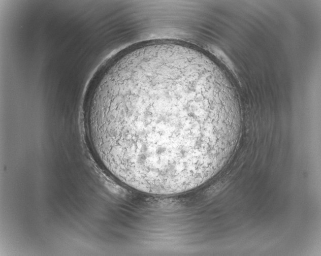 X0000074301072200609222329