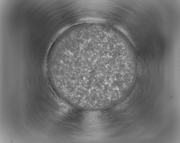 X0000074301074200609222329