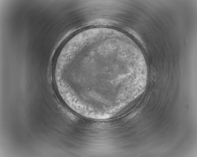 X0000074301075200609222329