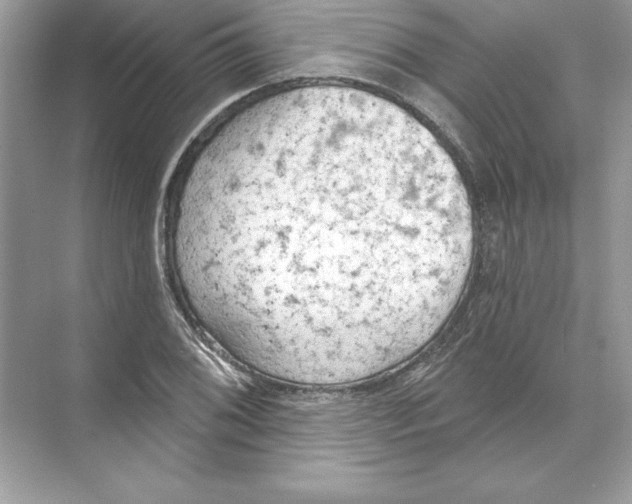 X0000074301076200609222329