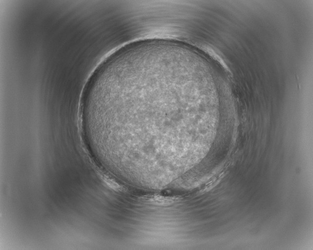 X0000074301077200609222329