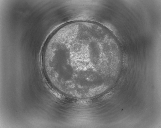 X0000074301078200609222329