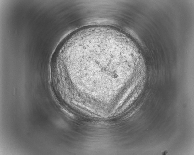 X0000074301079200609222329