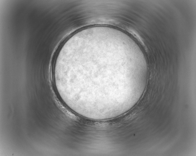 X0000074301080200609222329