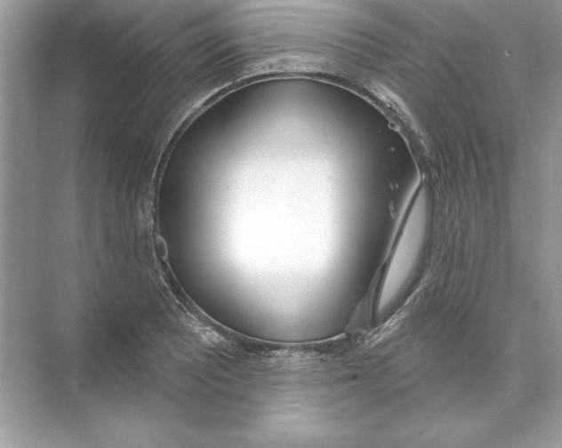 X0000074301081200609222329