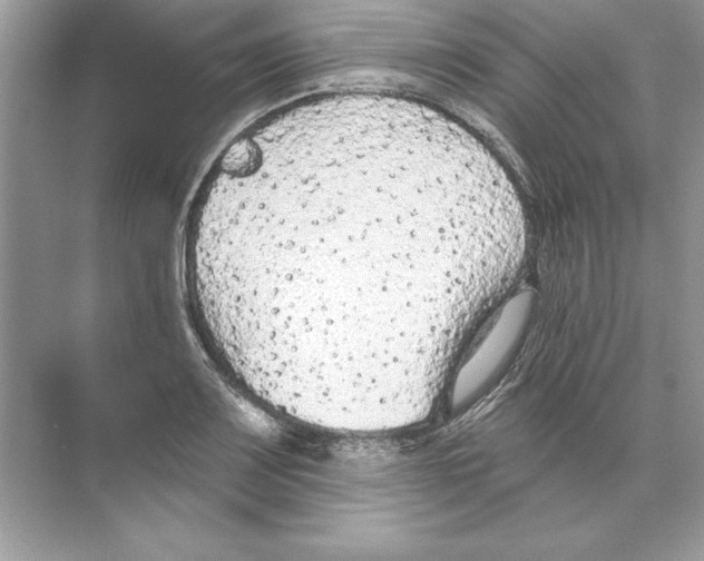 X0000074301083200609222329