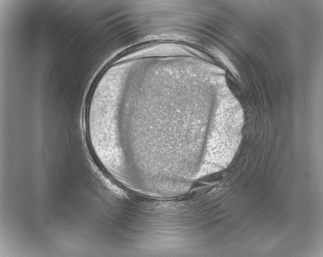 X0000074301084200609222329