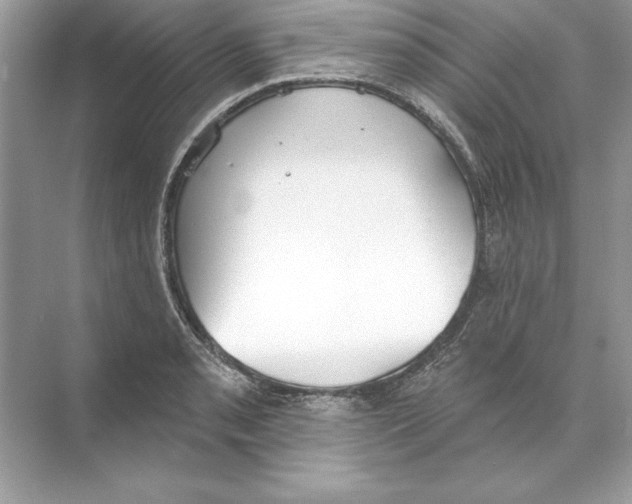 X0000074301085200609222329