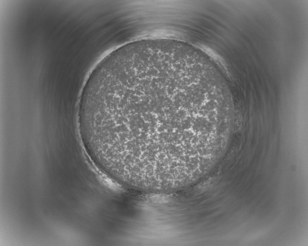 X0000074301086200609222329