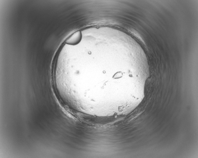 X0000074301087200609222329