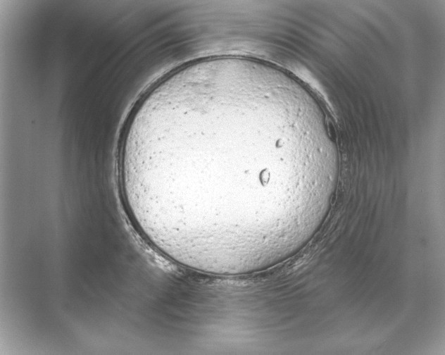 X0000074301088200609222328